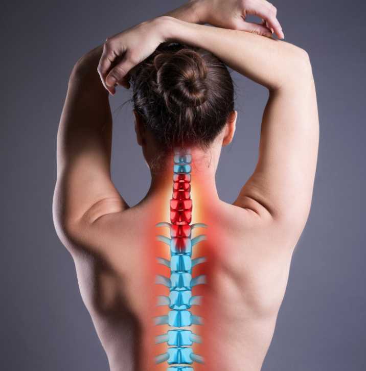 Physical Therapy In Williamsville, NY