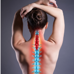 spinal evaluation