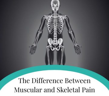 The Difference Between Muscular and Skeletal Pain 360x320