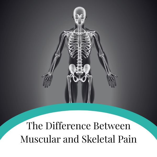 The Difference Between Muscular and Skeletal Pain